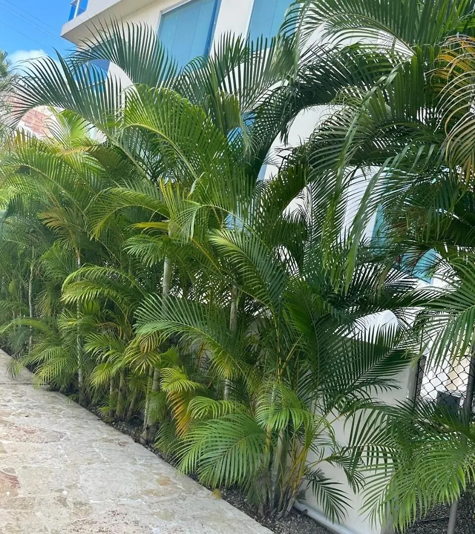 Wind Chimes Condos Cabarete Dominican Republic